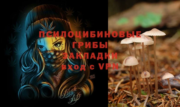 соль ск Балахна