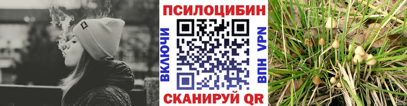 Псилоцибиновые грибы Cubensis Фёдоровский